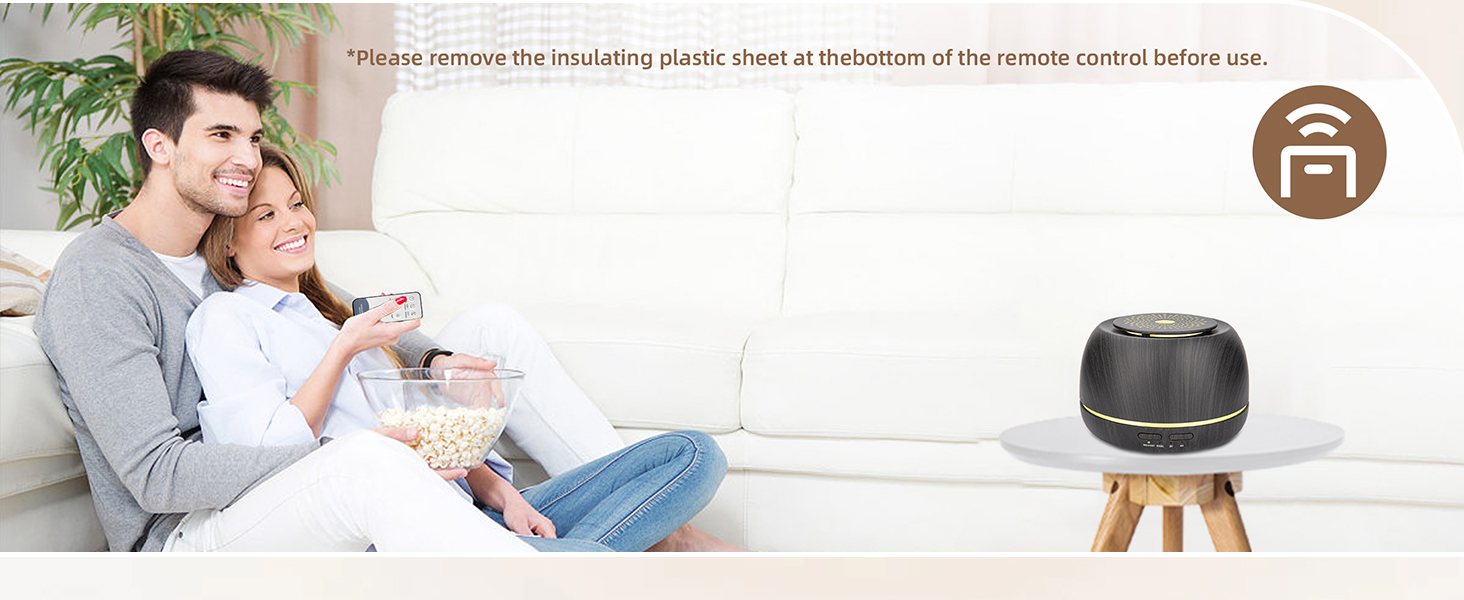 WP-158 remote control note - remove the insulating sheet before first use